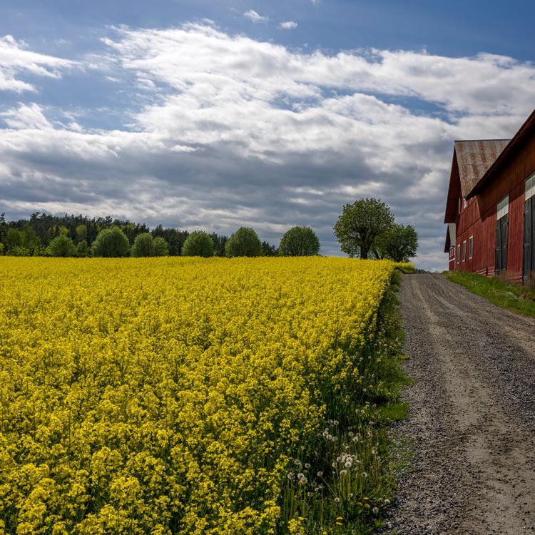 Kommun Image