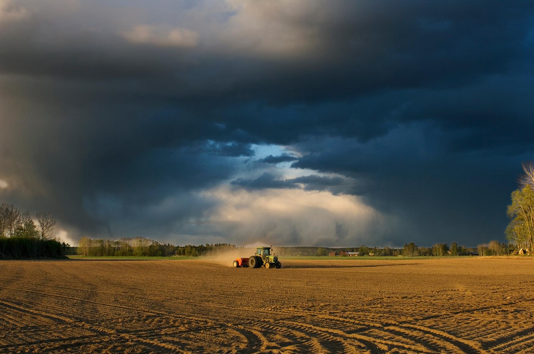 Mungabonden under 25 år/Munga-farmer under 25 year