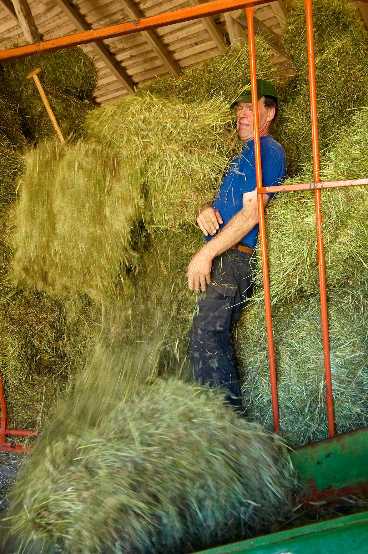 Mungabonden under 25 år/Munga-farmer under 25 year