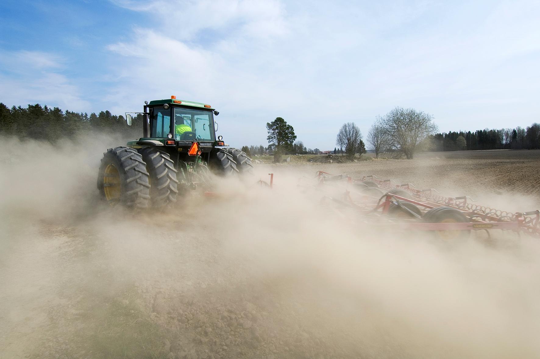 Mungabonden under 25 år/Munga-farmer under 25 year