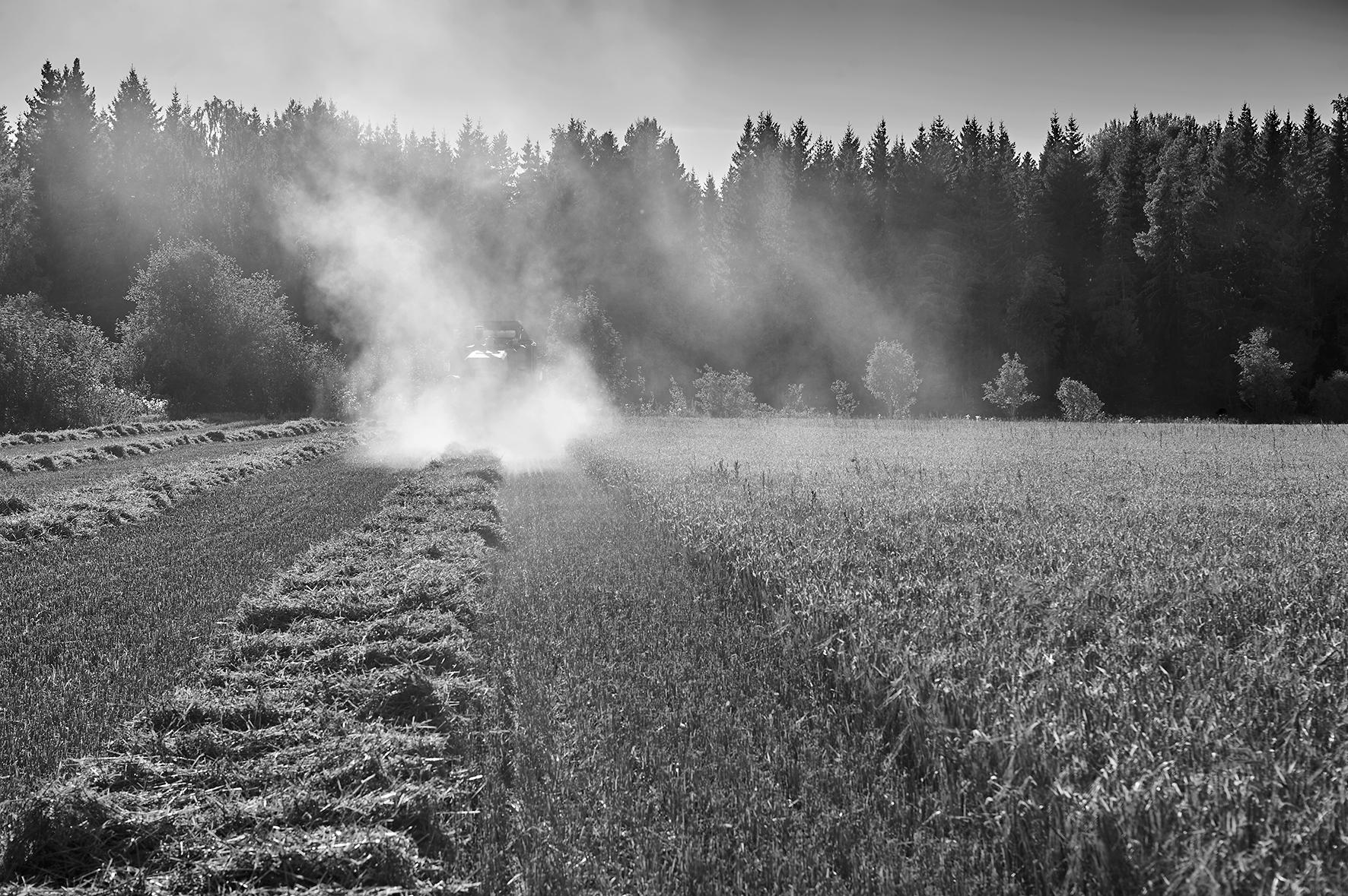 Mungabonden under 25 år/Munga-farmer under 25 year