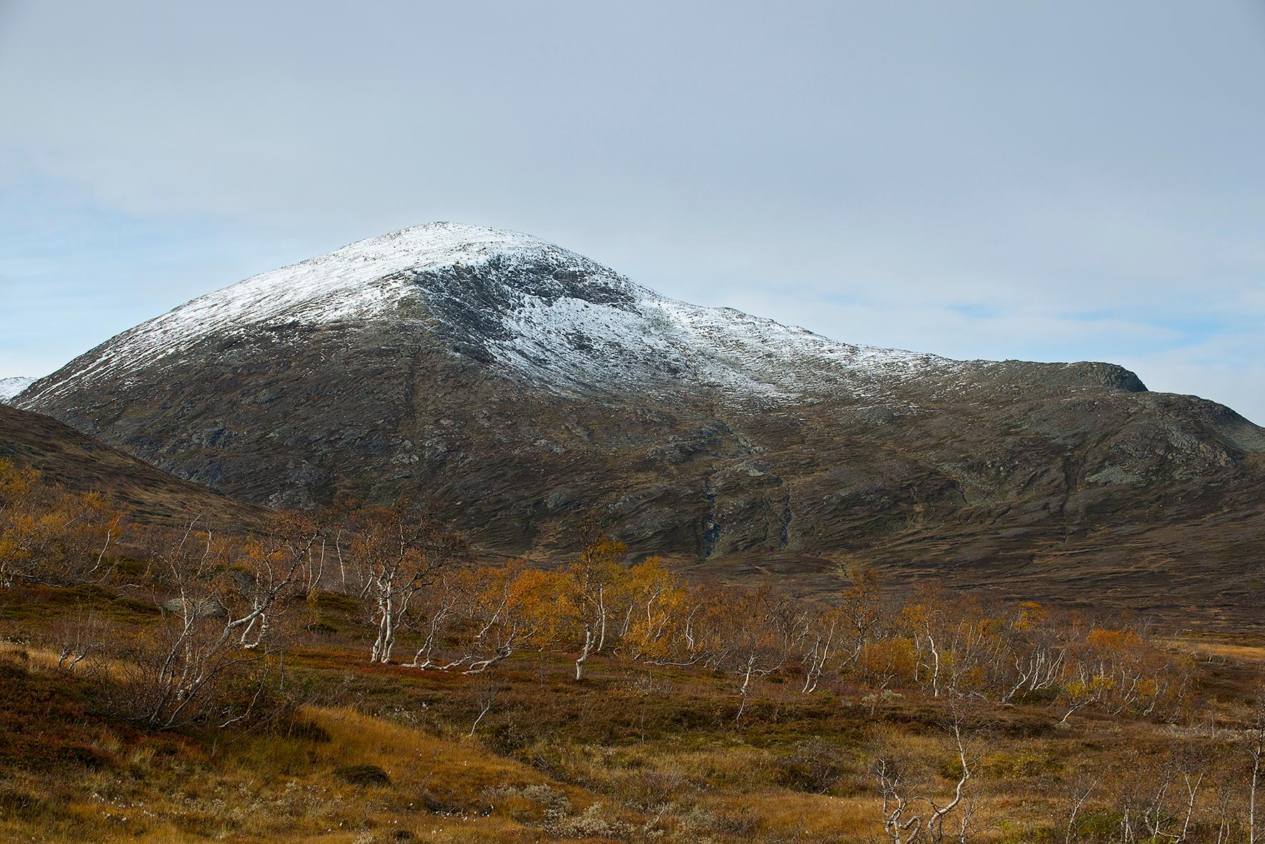 Landskap/landscape