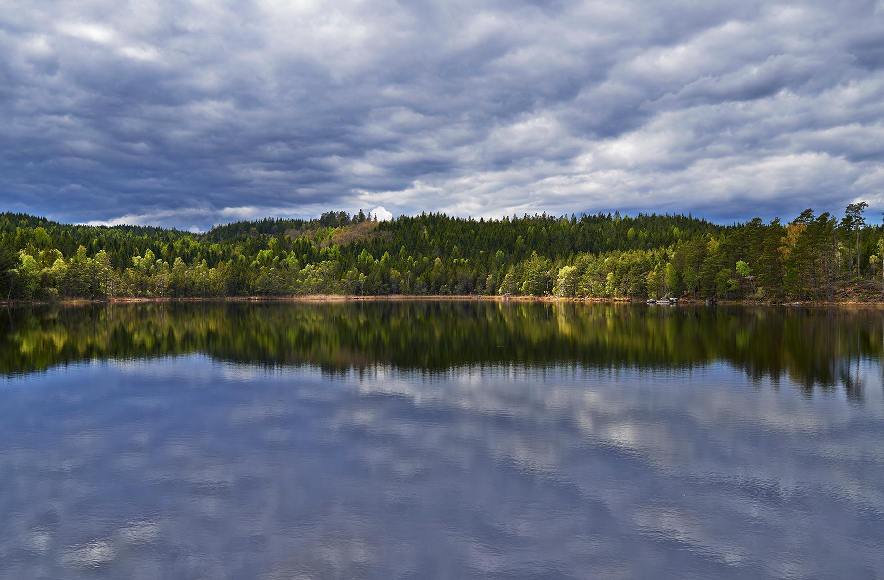 Landskap/landscape