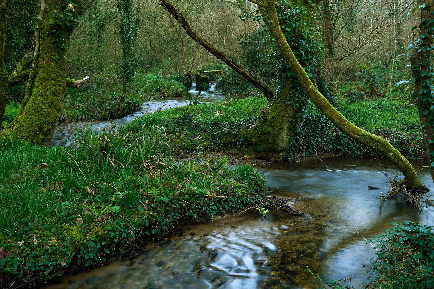 England/United Kingdom