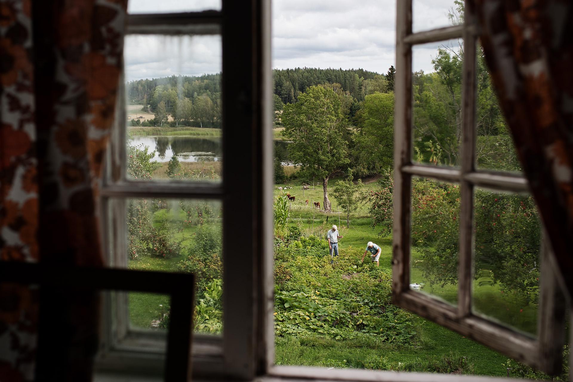 Frö - På jakt efter framtidens mat