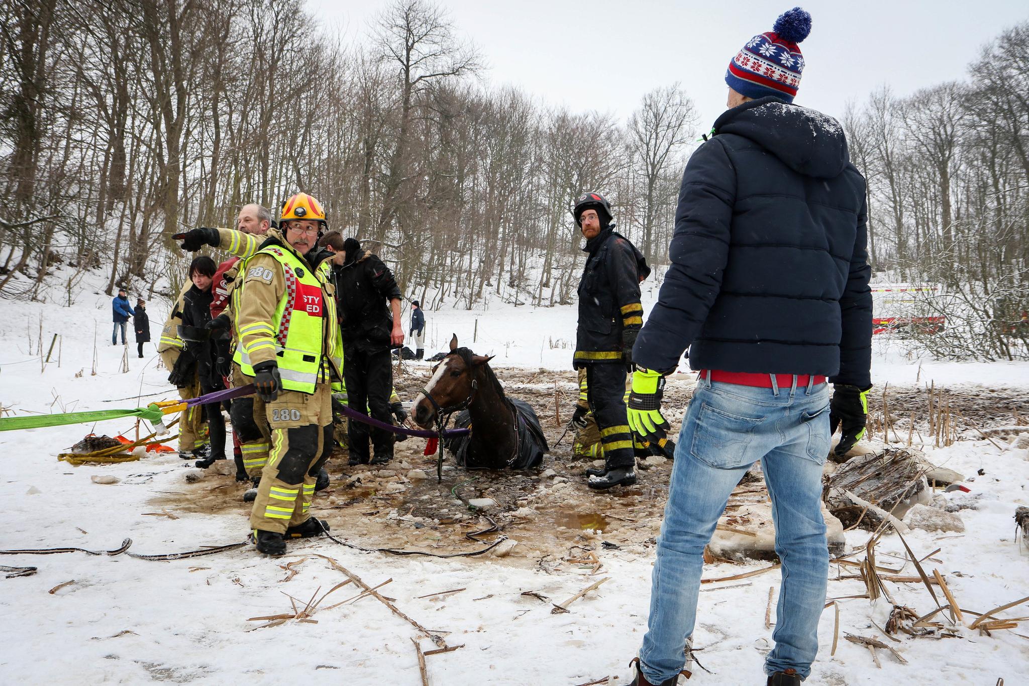 Reportage