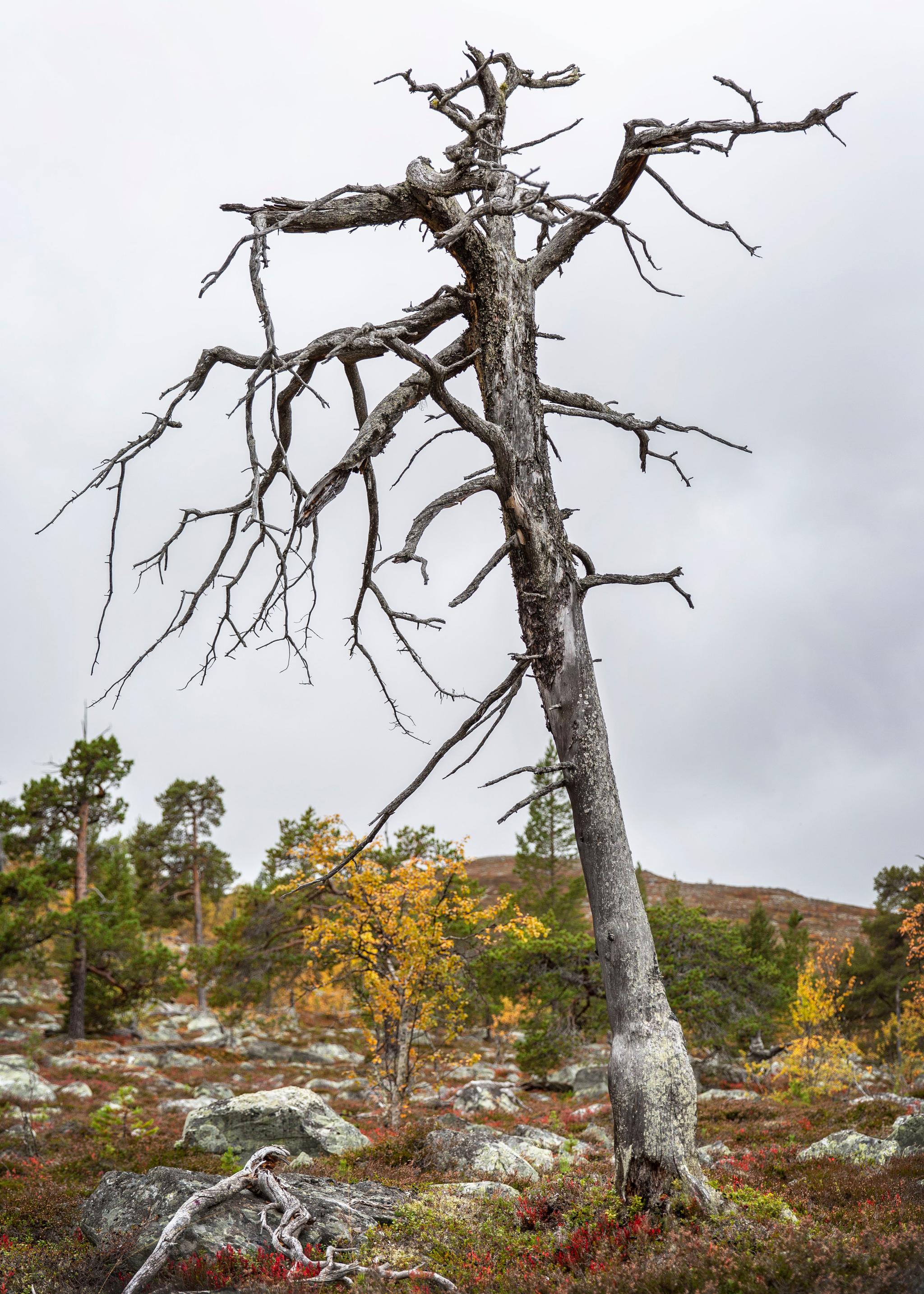 Grövelsjön