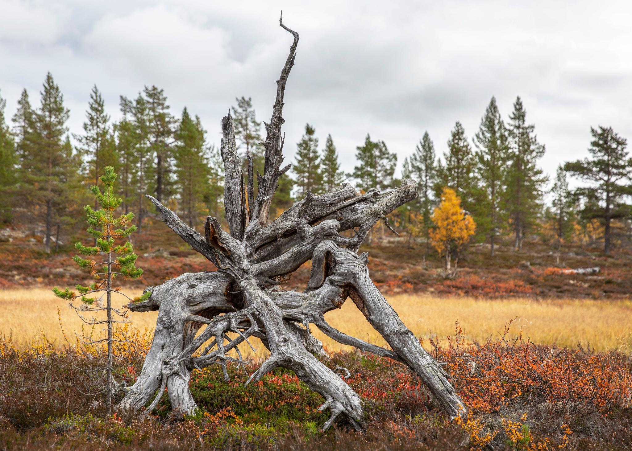Grövelsjön