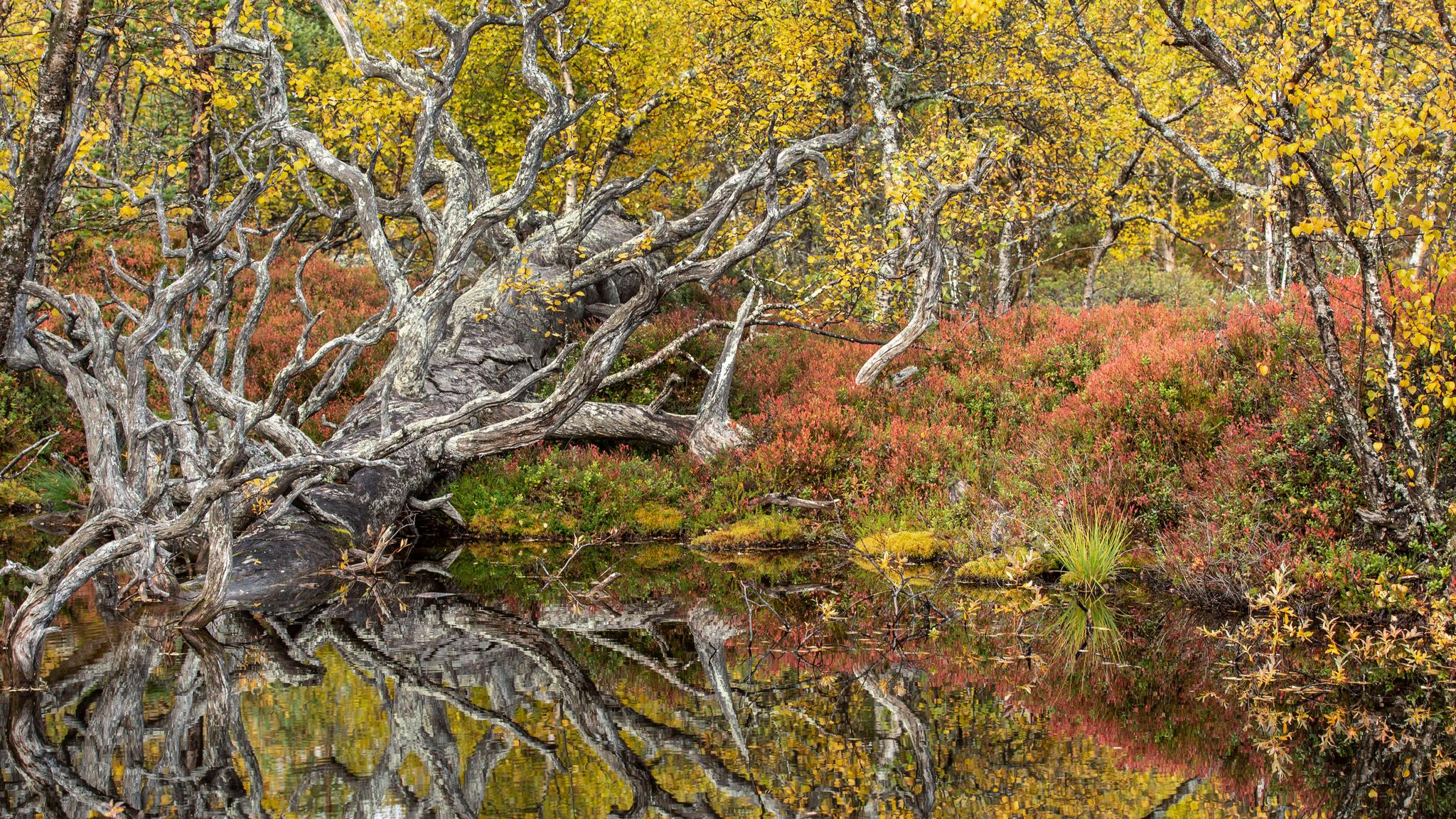 Grövelsjön