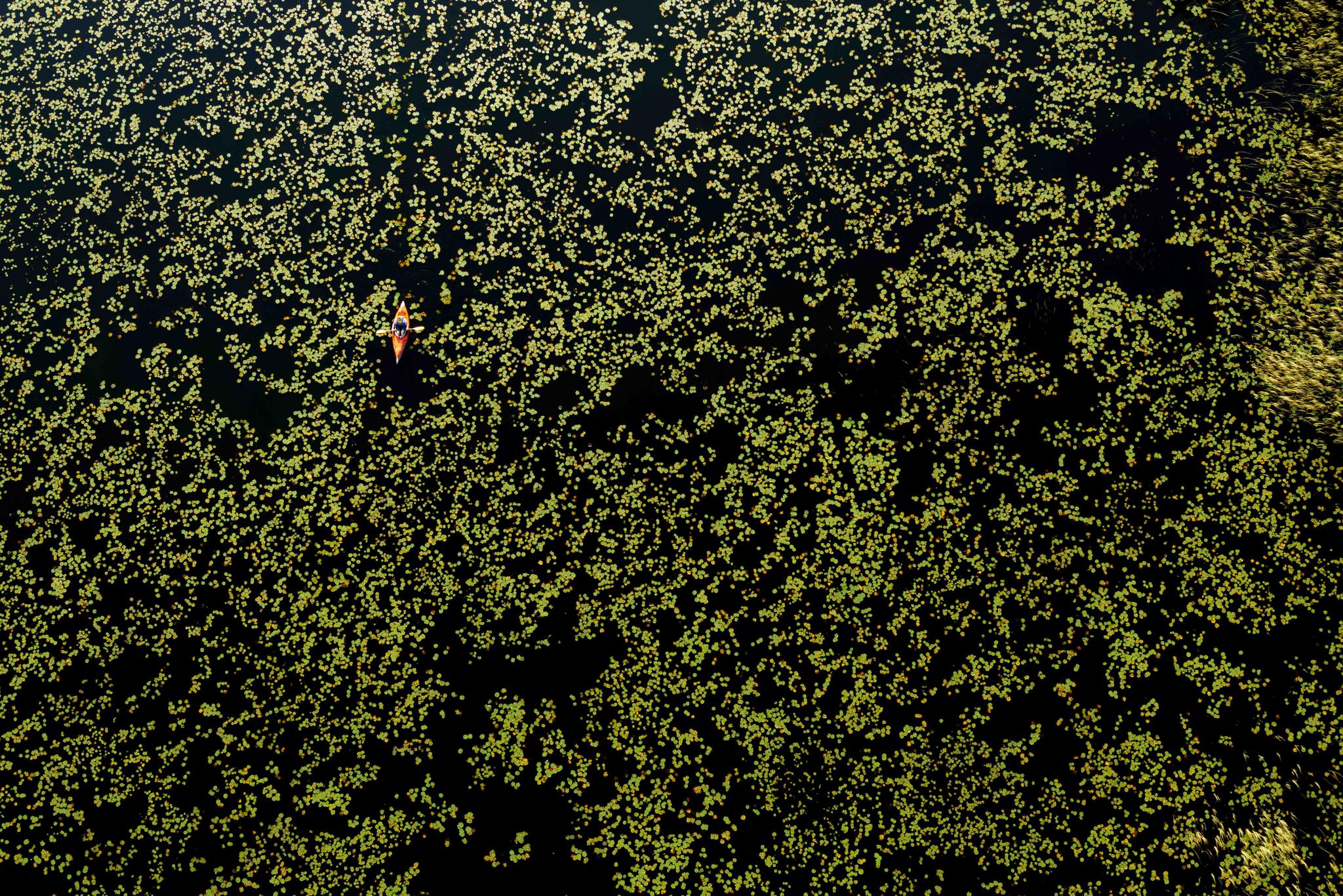 Aerials