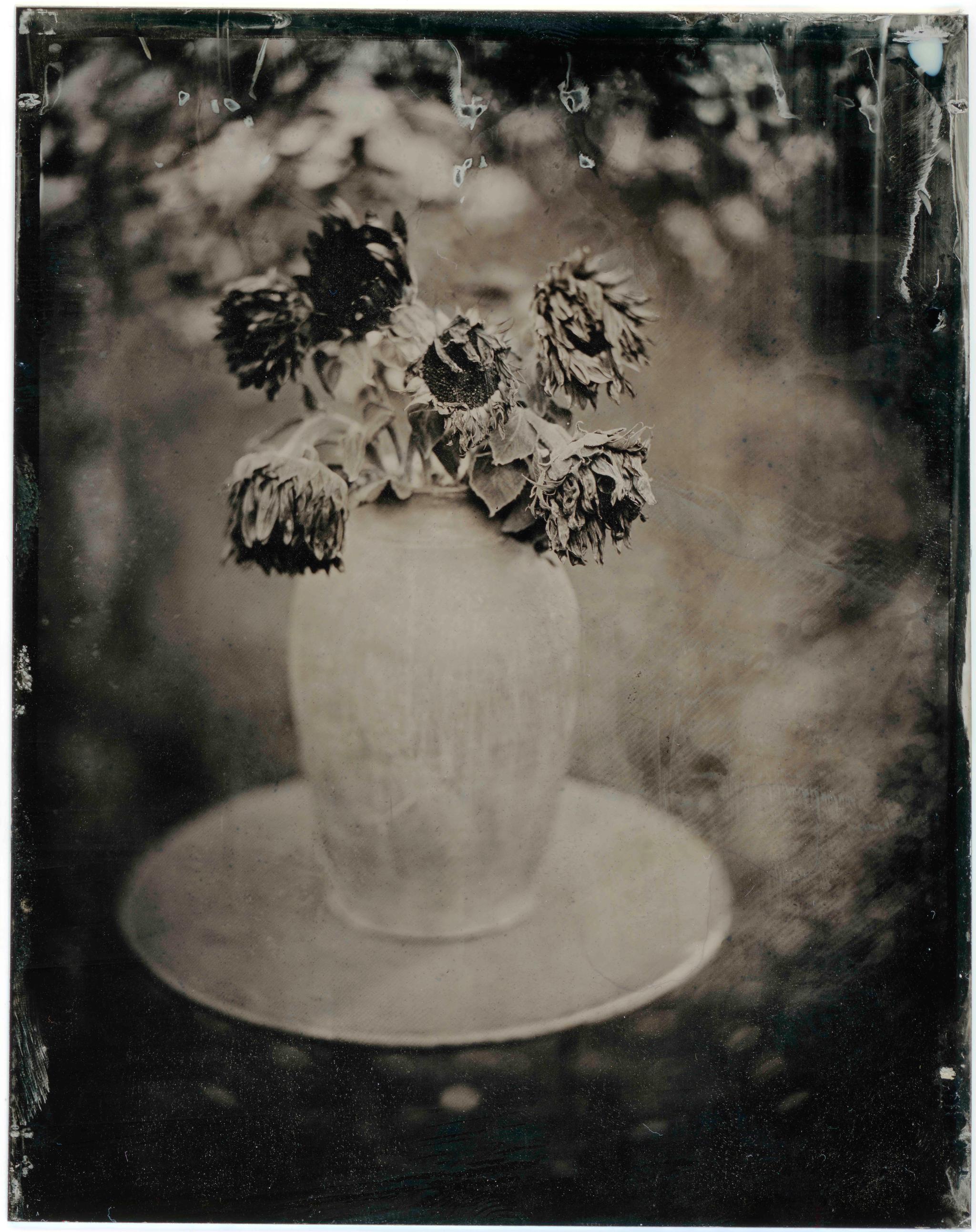 Wet plate collodion