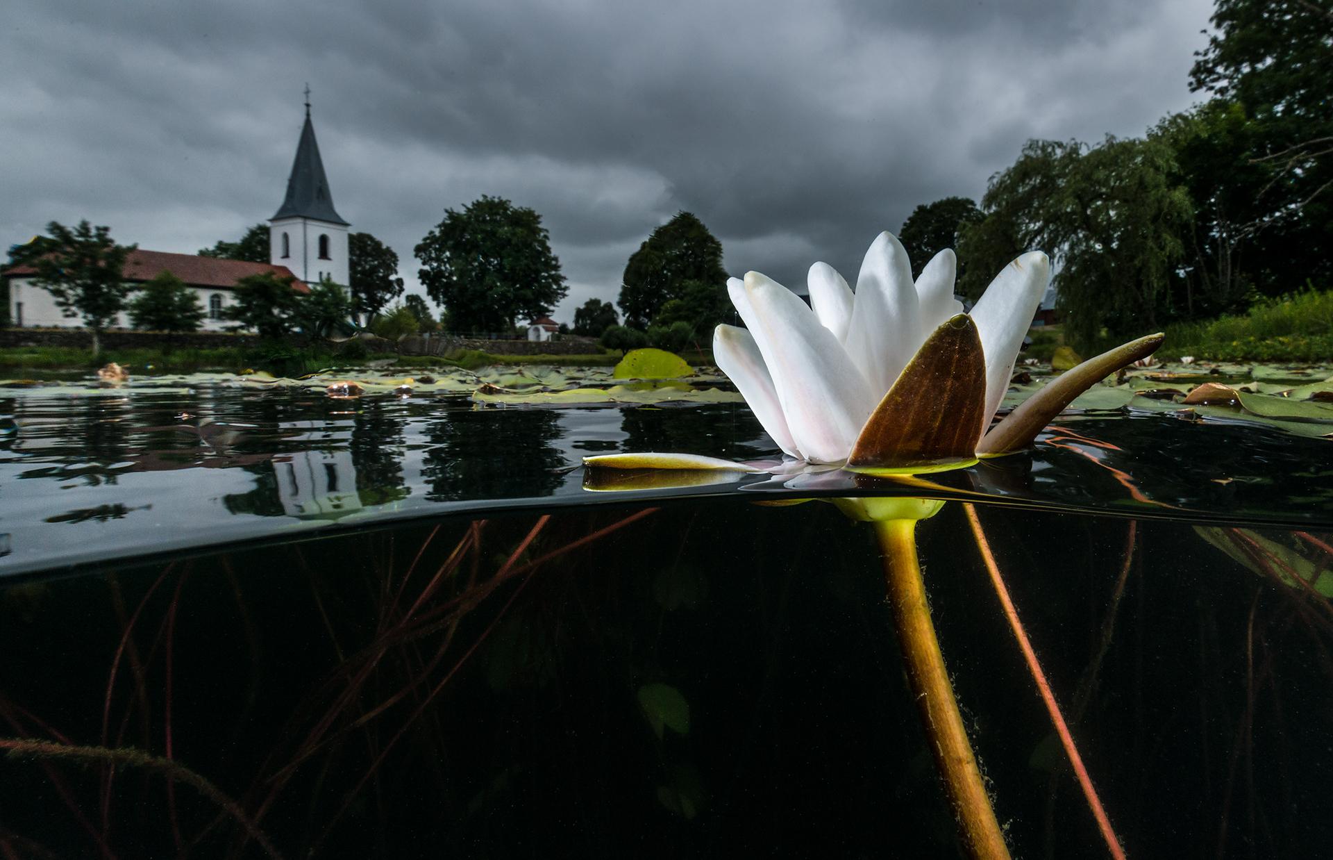 Landskapens mångfald