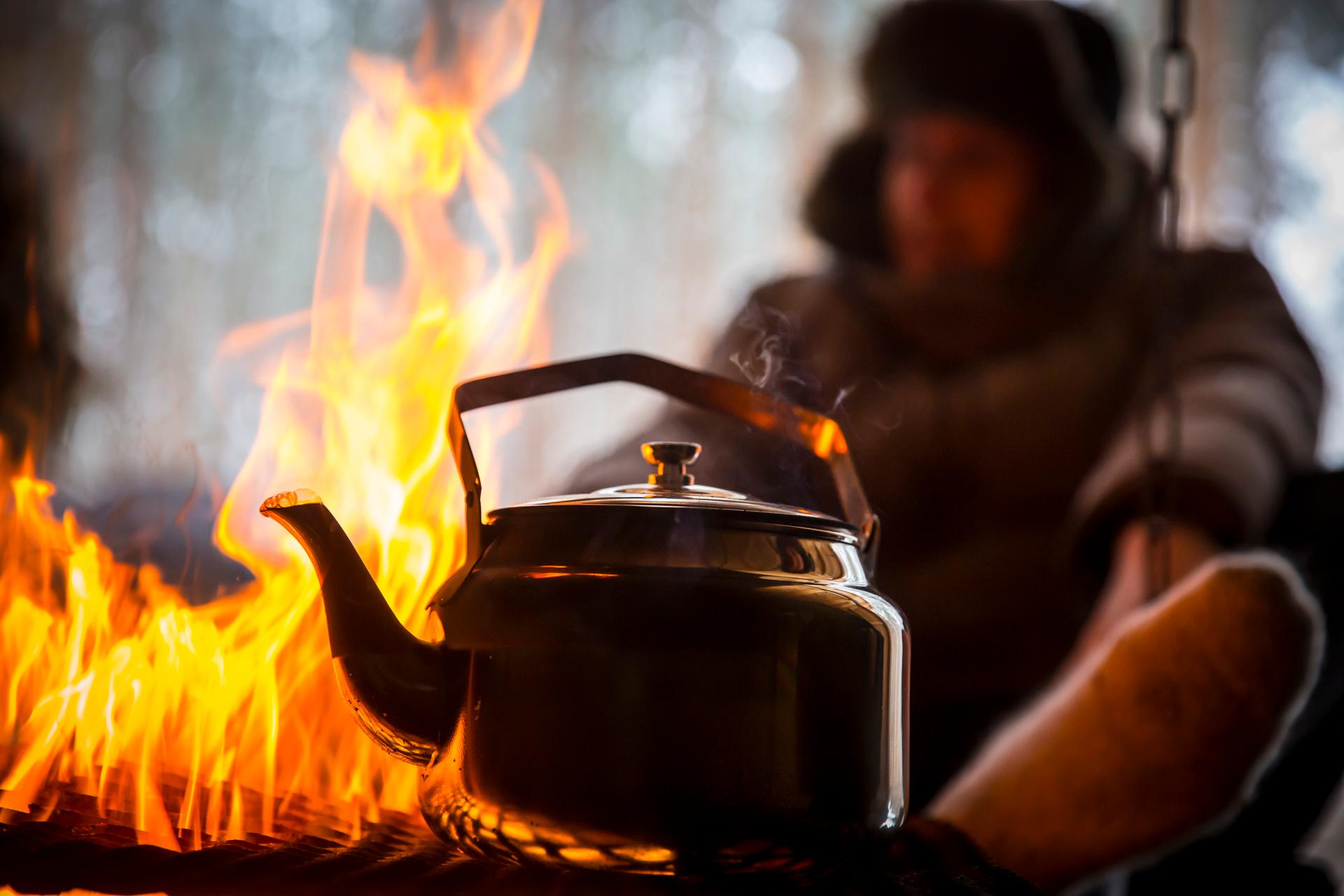 Boken Hästar och hästfolk