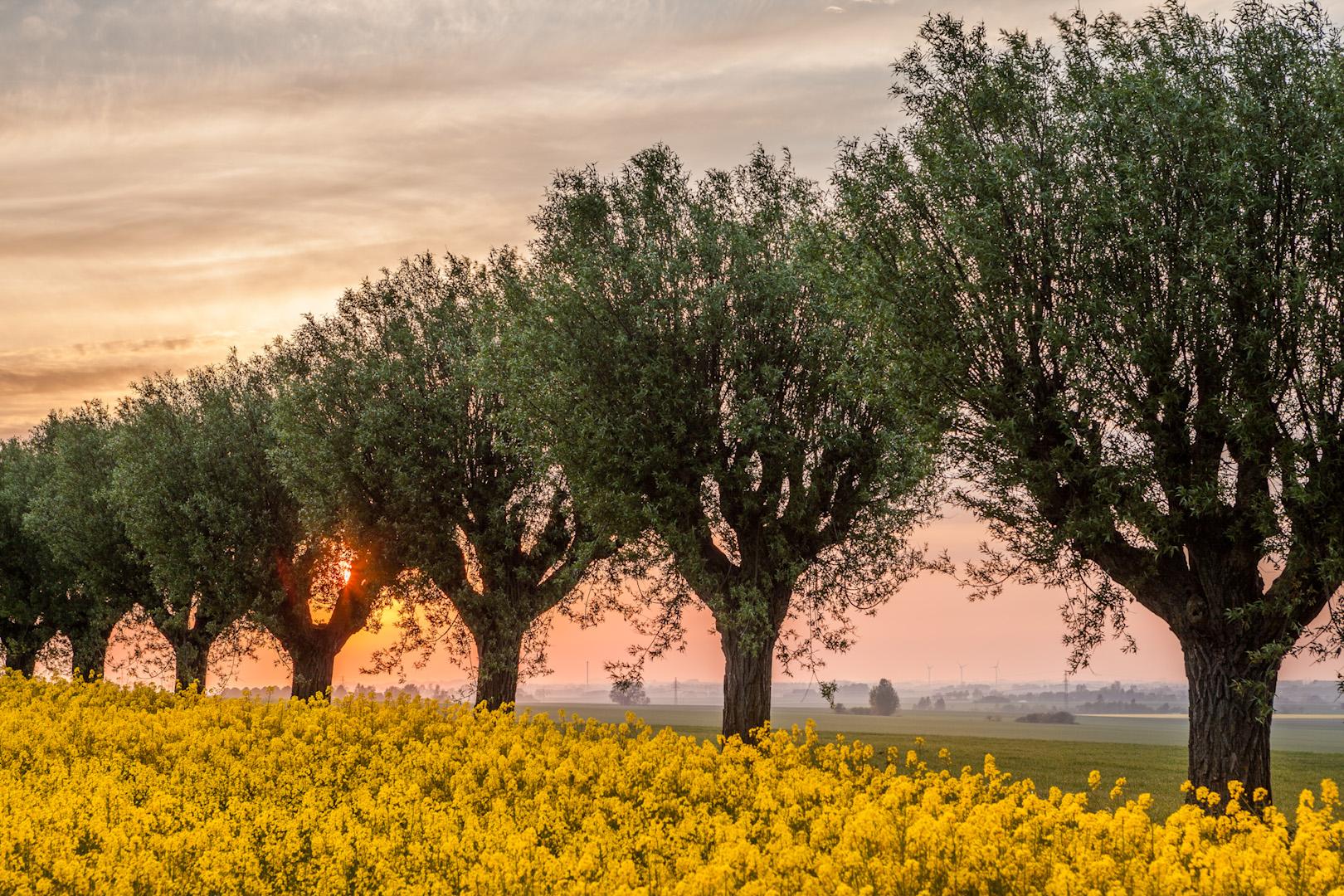 Skåne