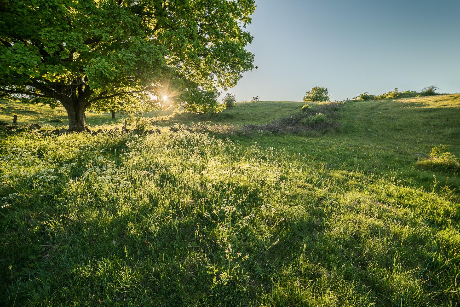 Skåne