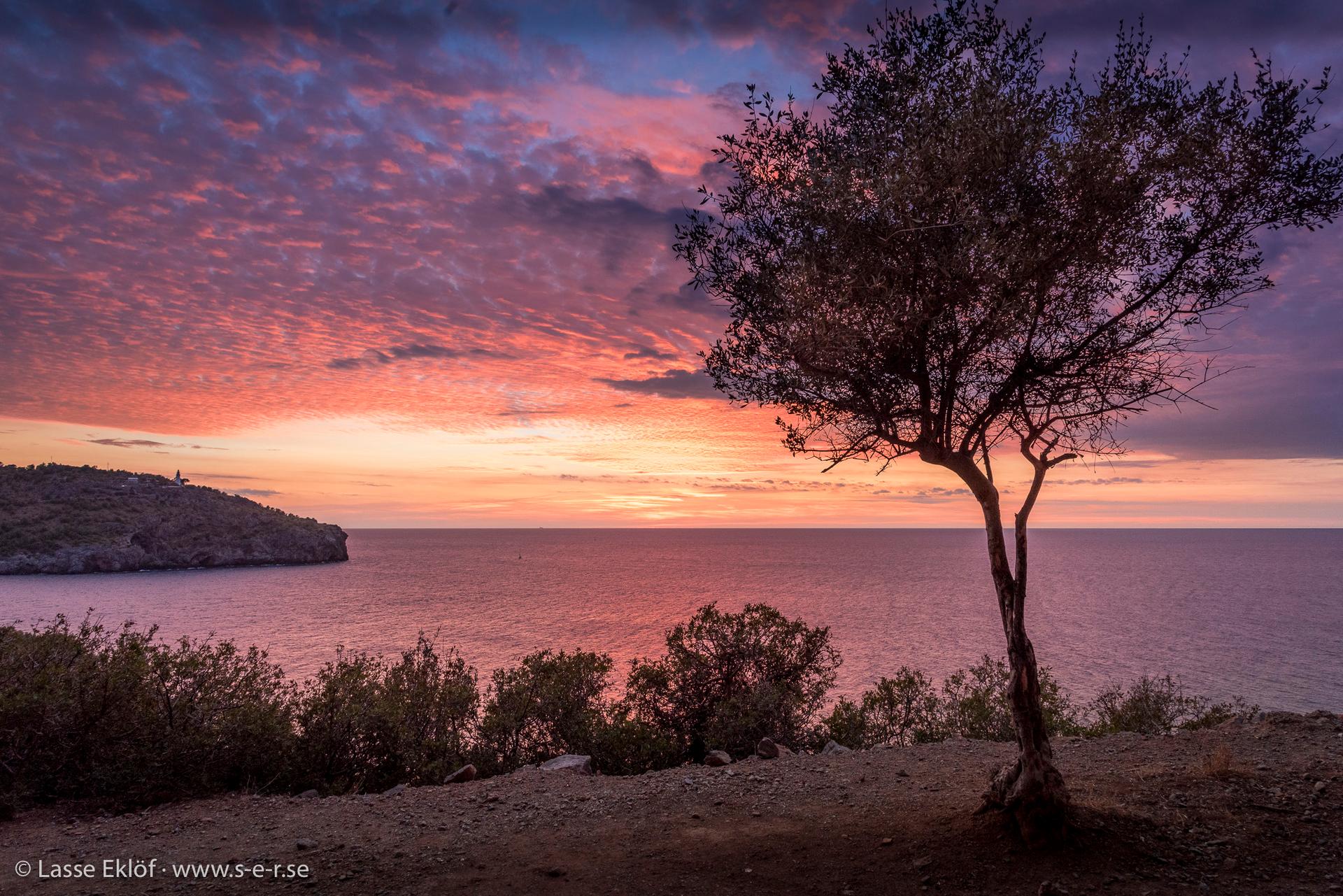 Mallorca