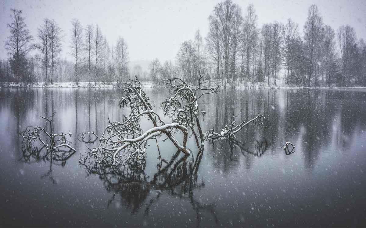 Landscape