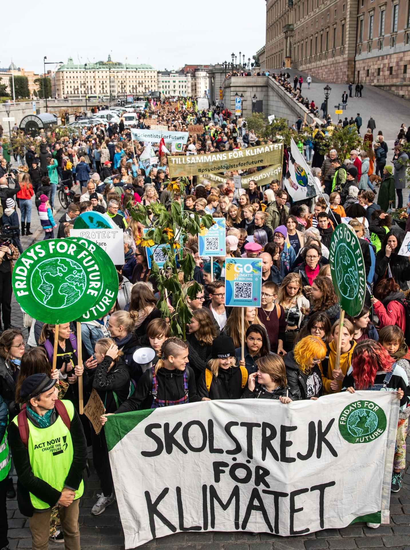 Greta and Fridays4future