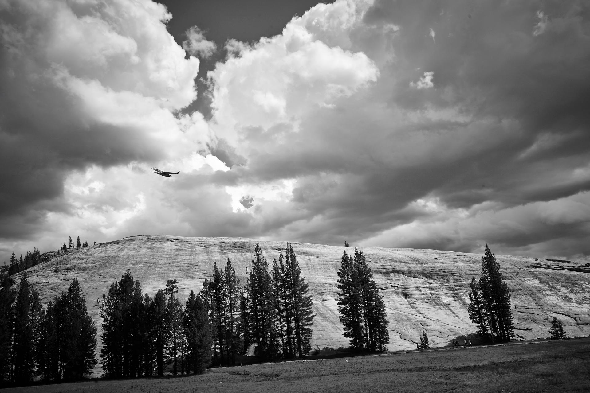 American landscapes