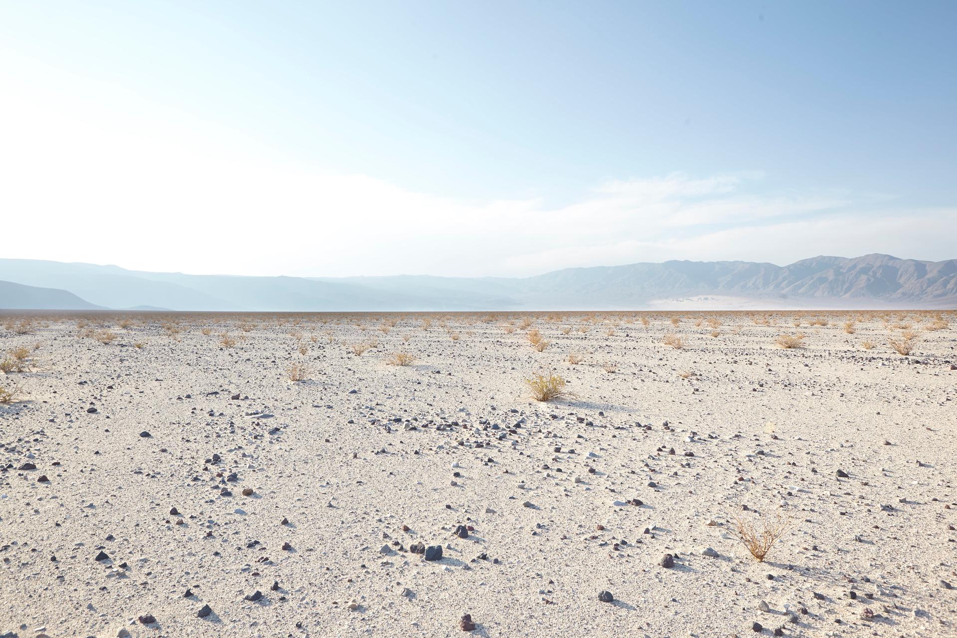 American landscapes
