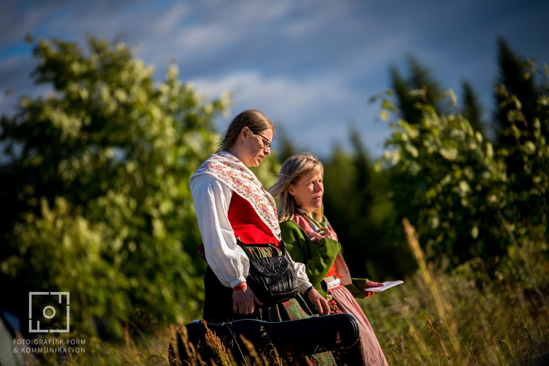 Lifestyle/eventfoto Bingsjö spelmansstämma