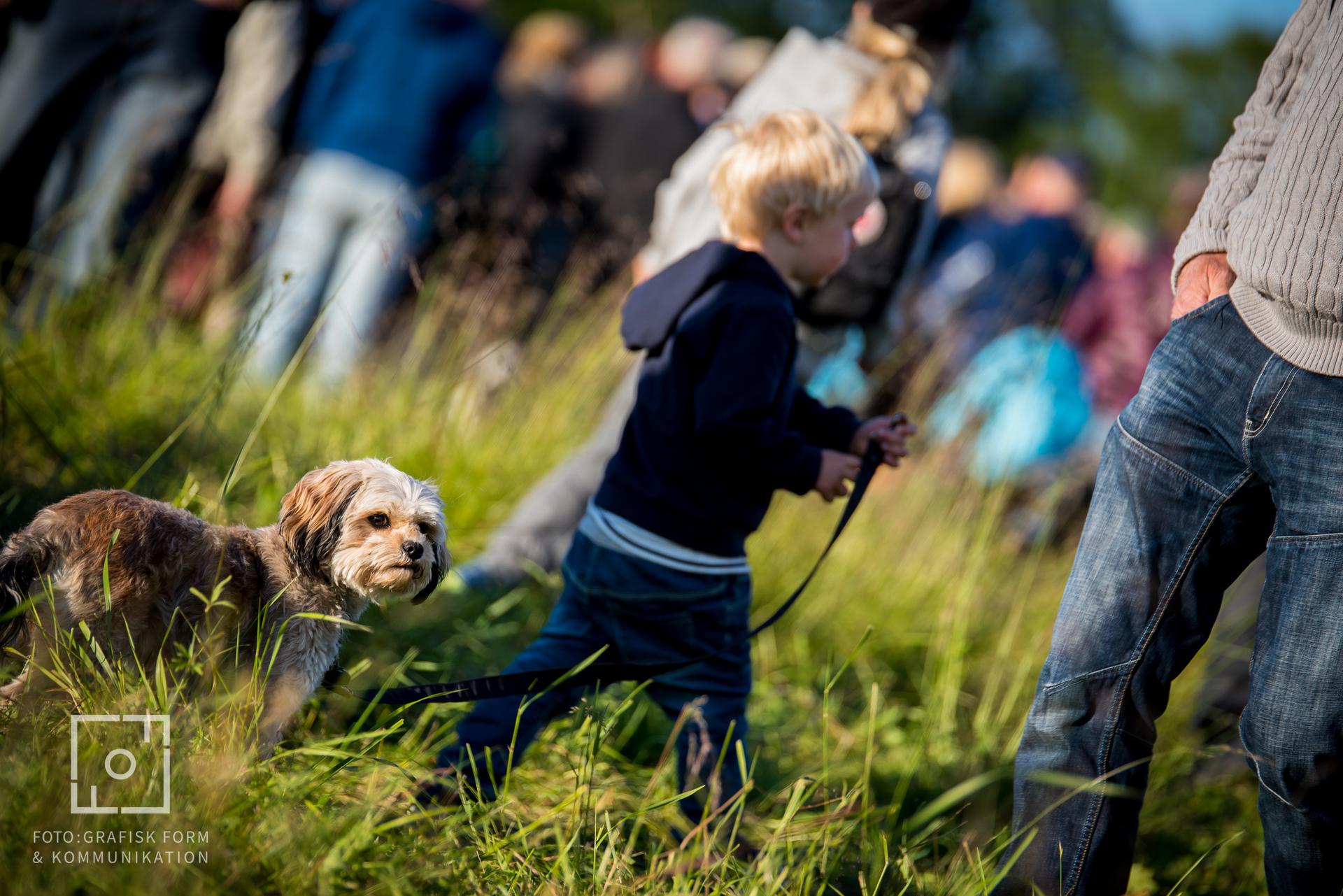 Lifestyle/eventfoto Bingsjö spelmansstämma