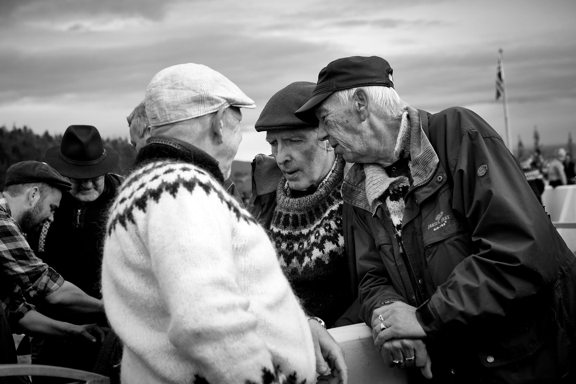 Sheep Farmers Iceland