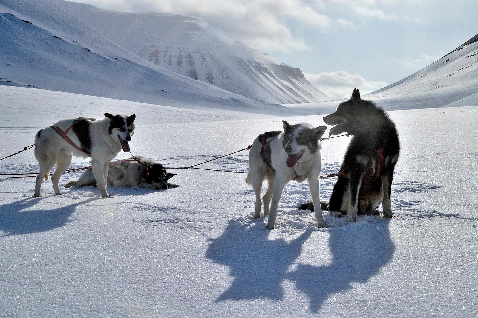 Svalbard