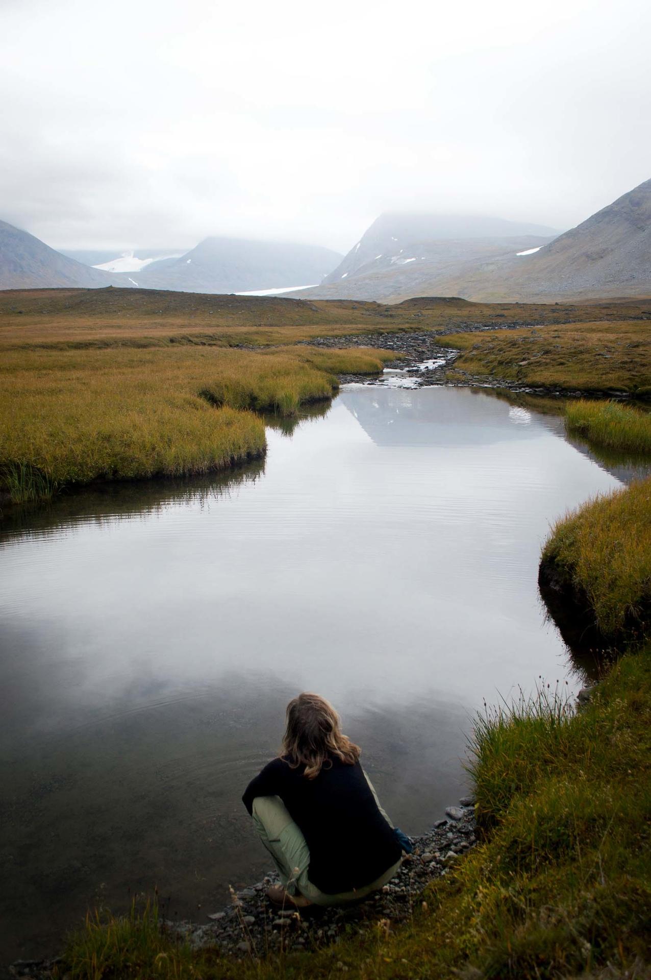 Sarek