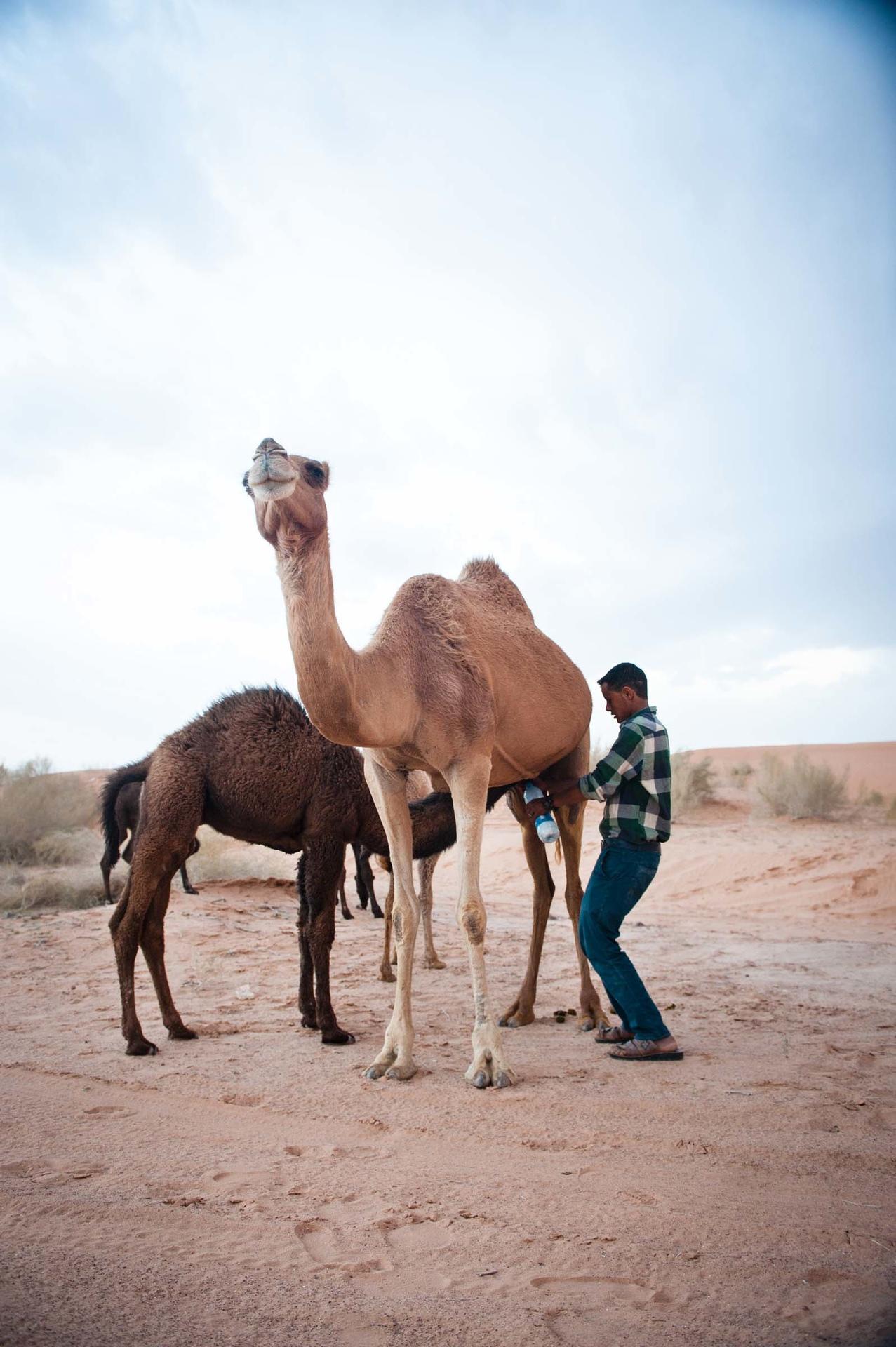 Danish beduin in Petra, Jordan