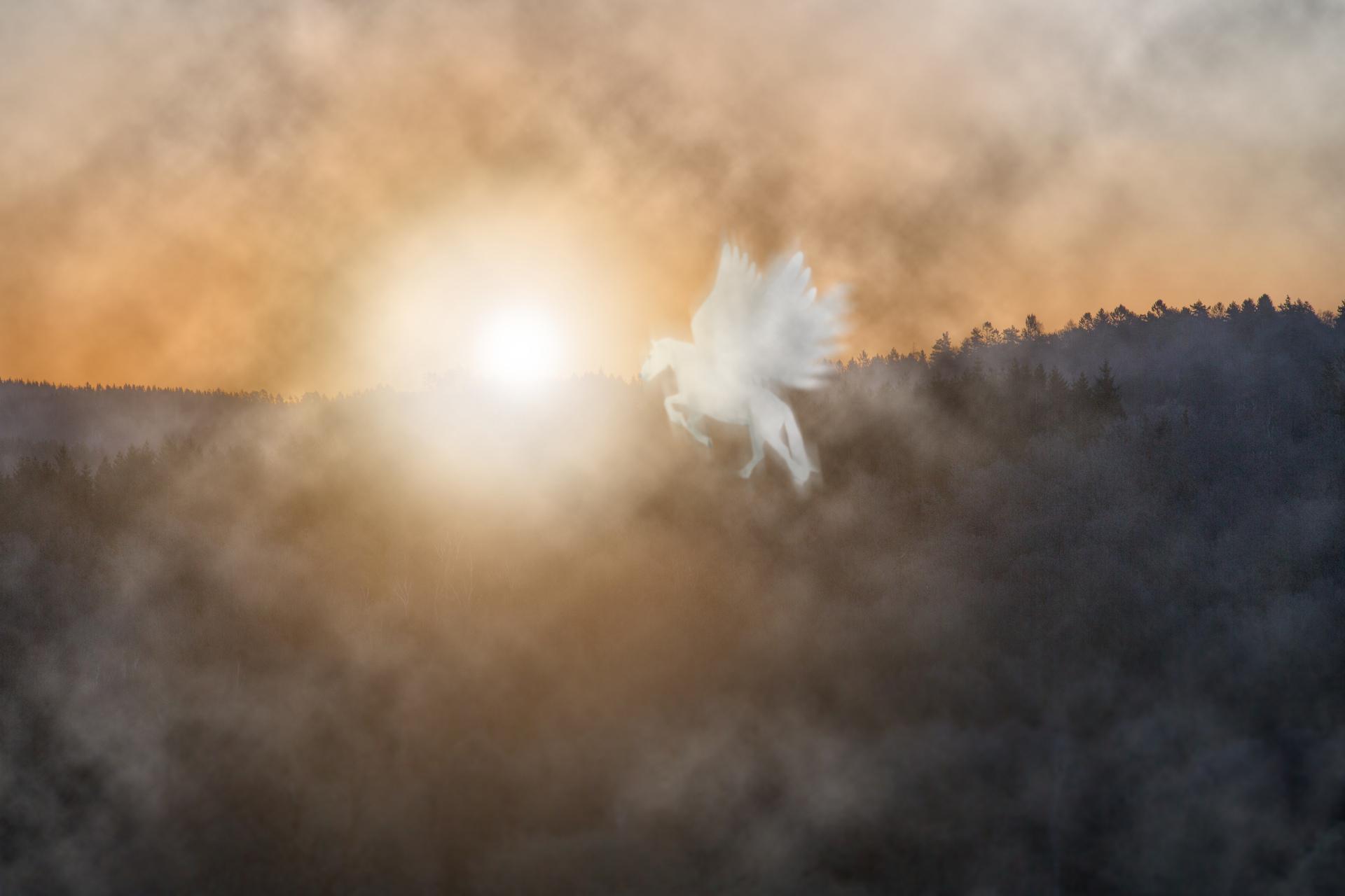 Upplösta känslor, fotomontage ur utställningen