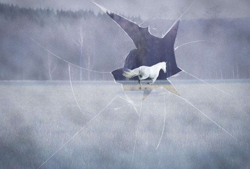 Upplösta känslor, fotomontage ur utställningen