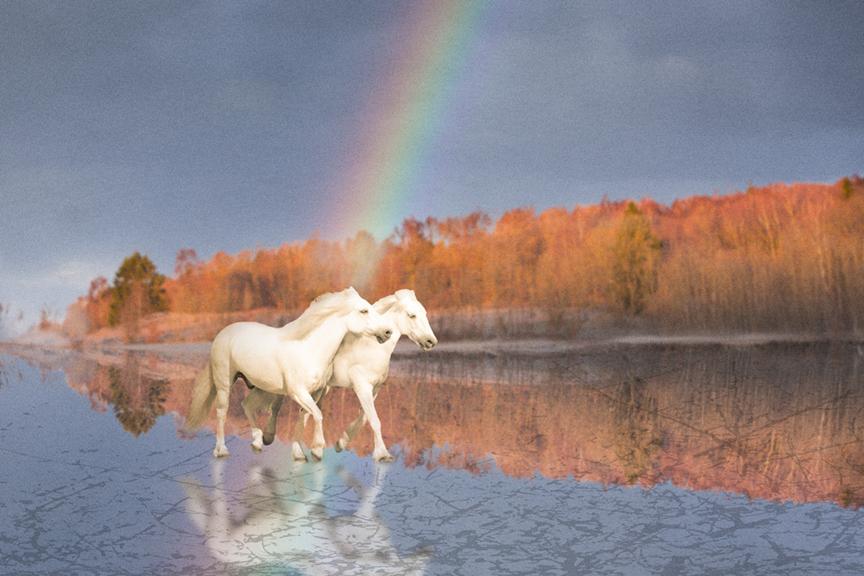 Upplösta känslor, fotomontage ur utställningen