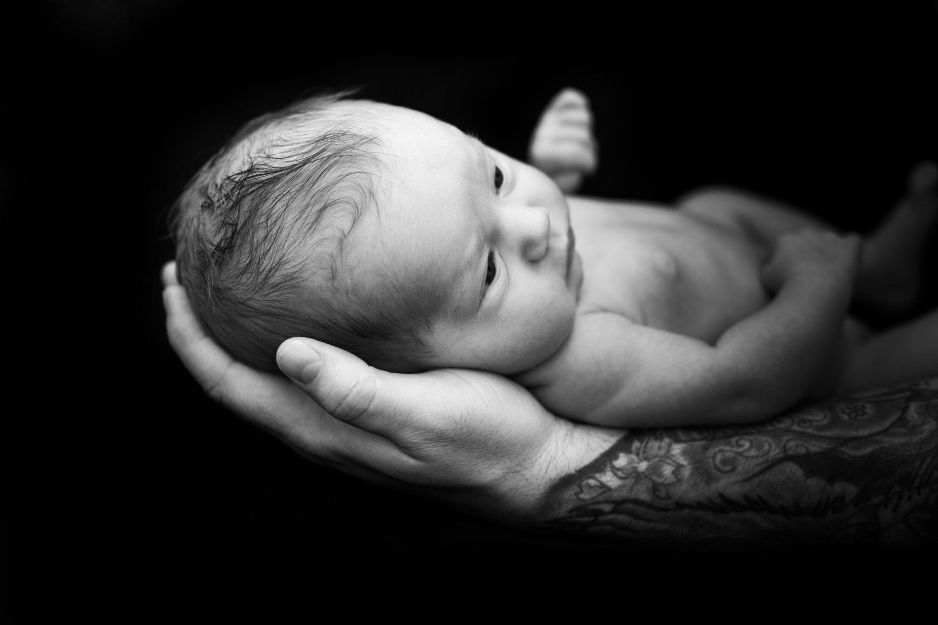 New born photography