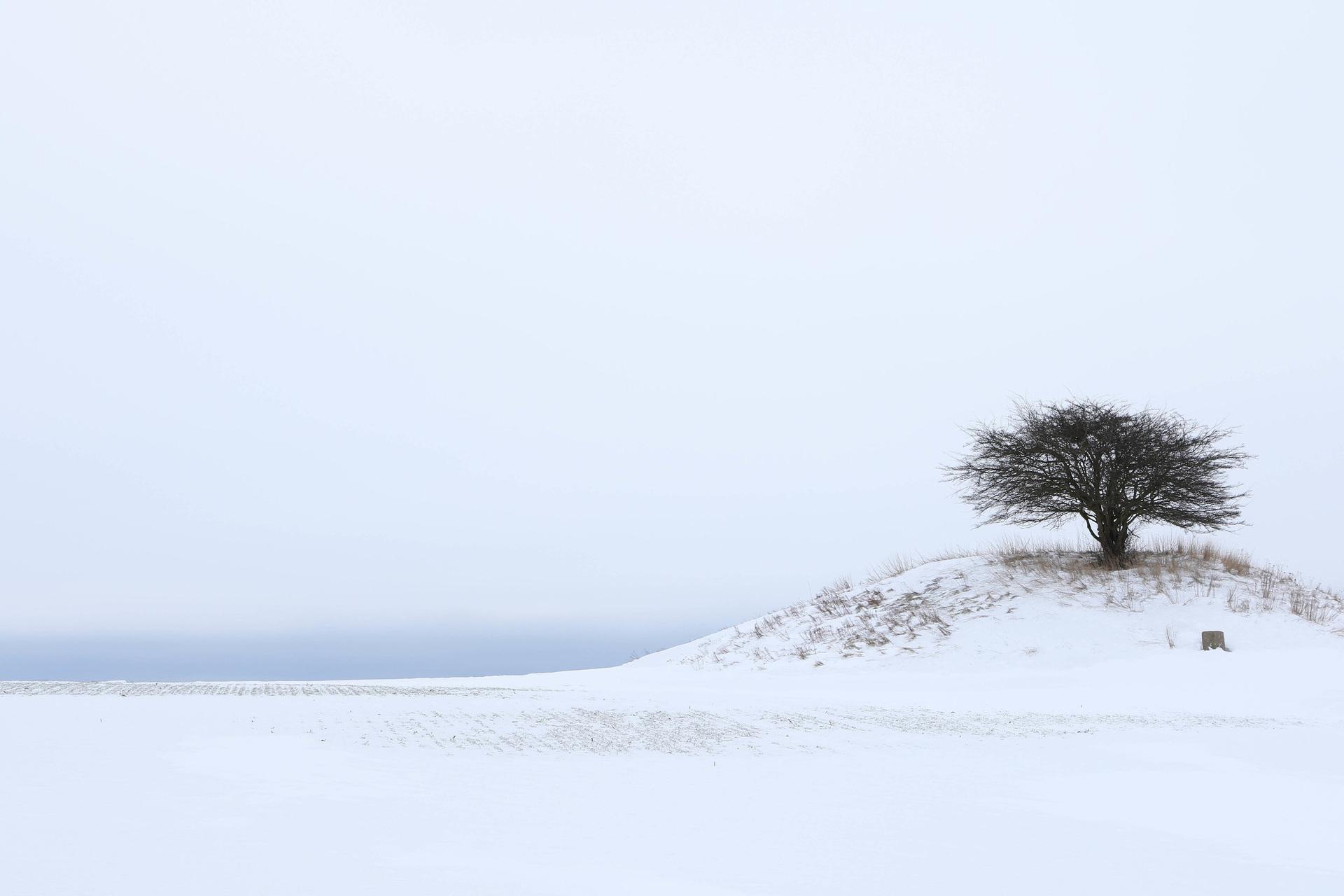 Landskap