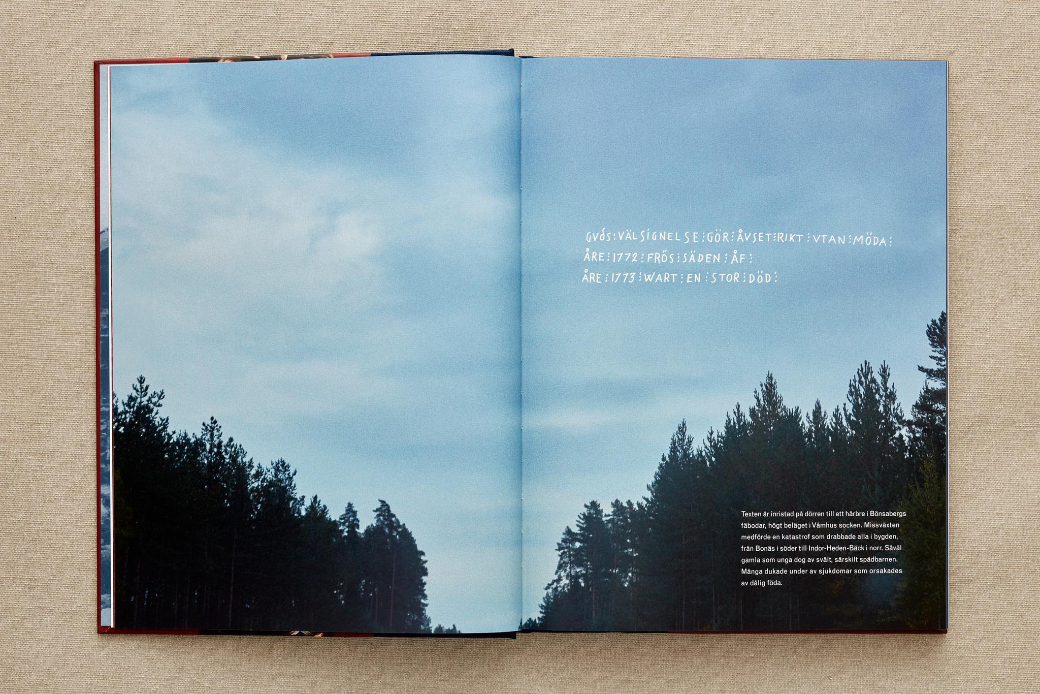 BOK: Hårresande - Våmhuskullornas hårsmycken & vandringar