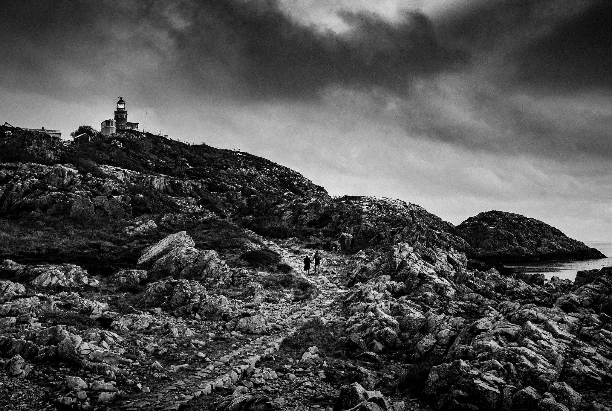 Steg – en vandring i människans natur