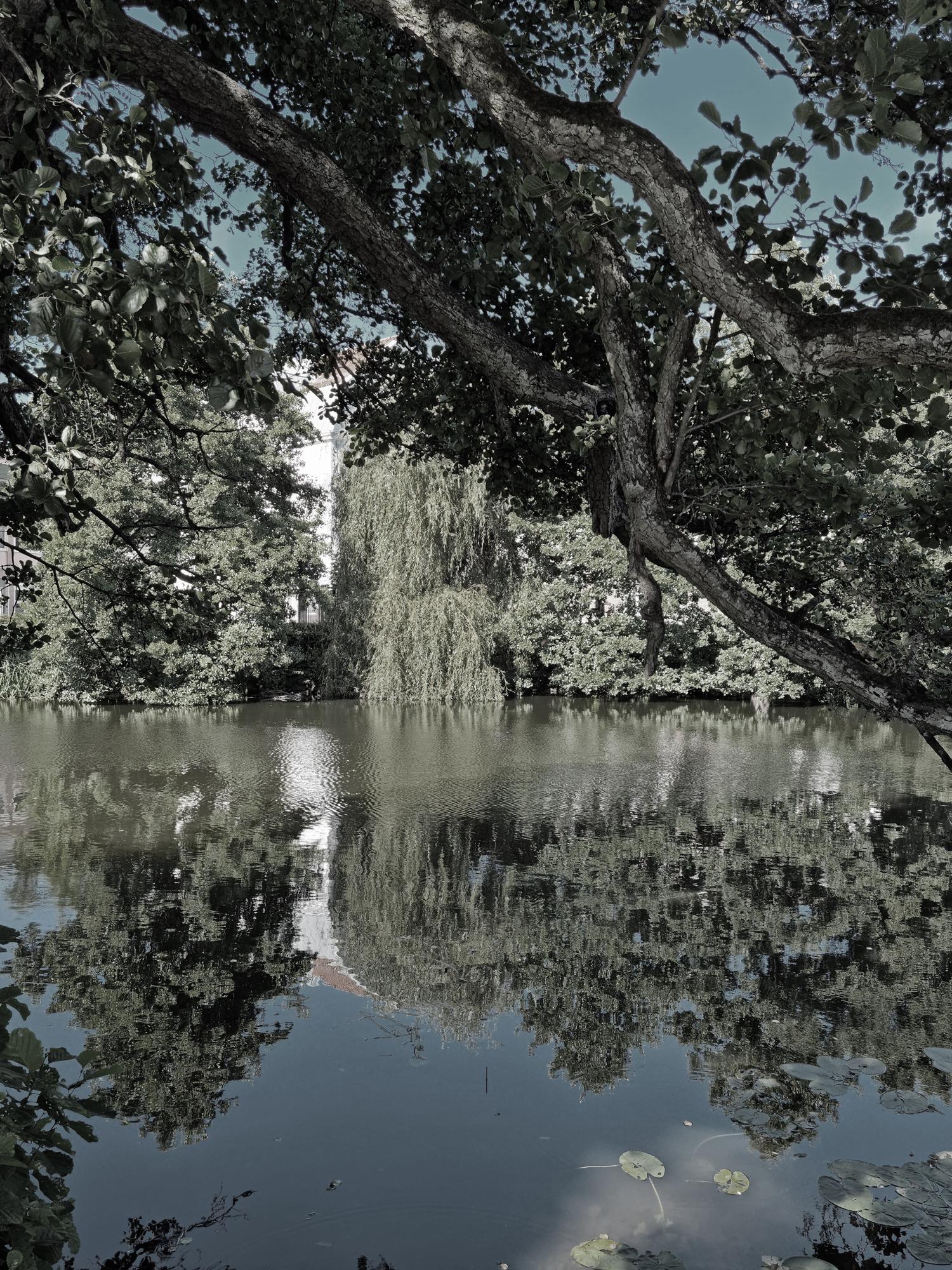 ÅRUM (fotozine 2023)