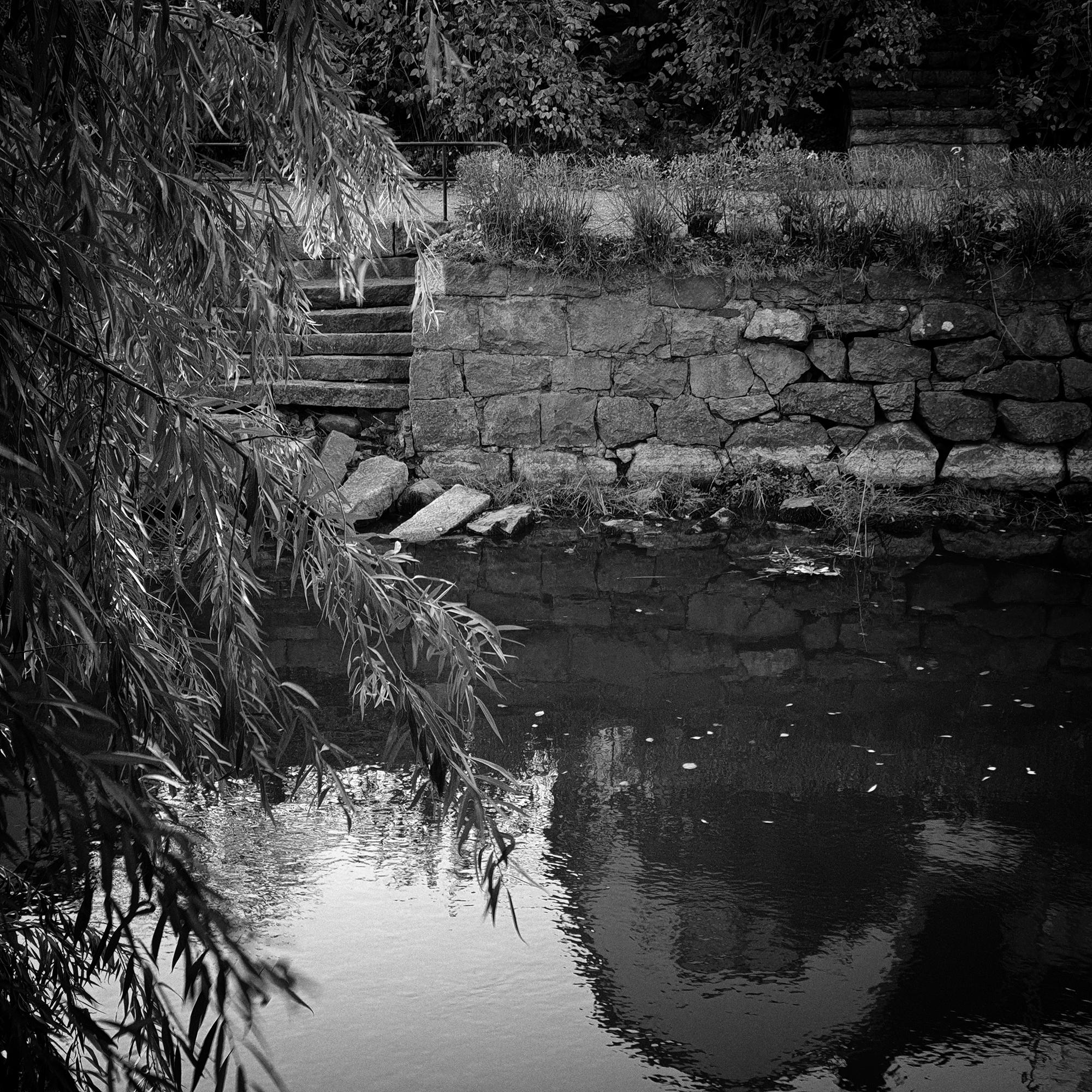 SWIMMING WITH ANDREI (fotobok 2020)