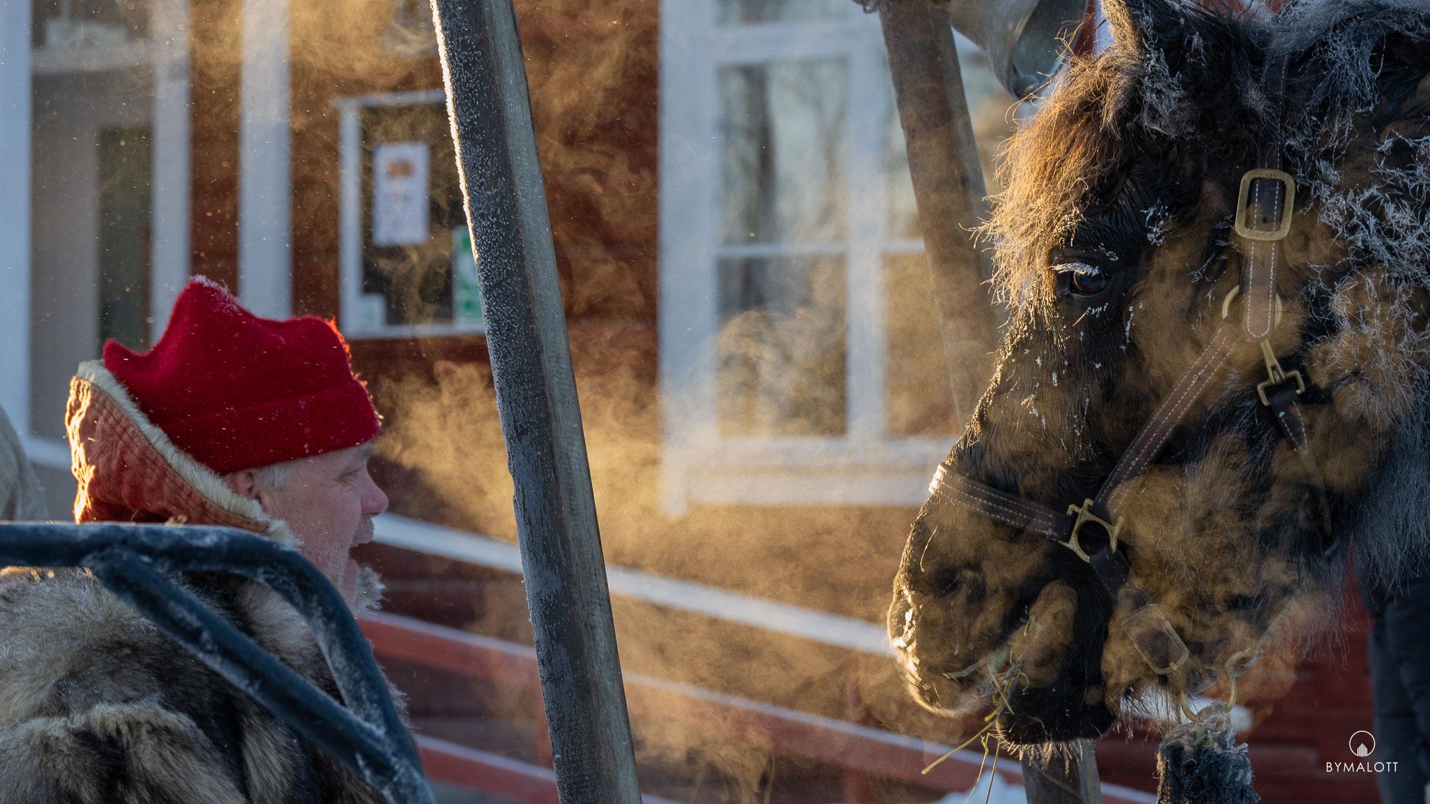 Dokumentärt - Klövsjö Forbönders resa mot Röros martnan