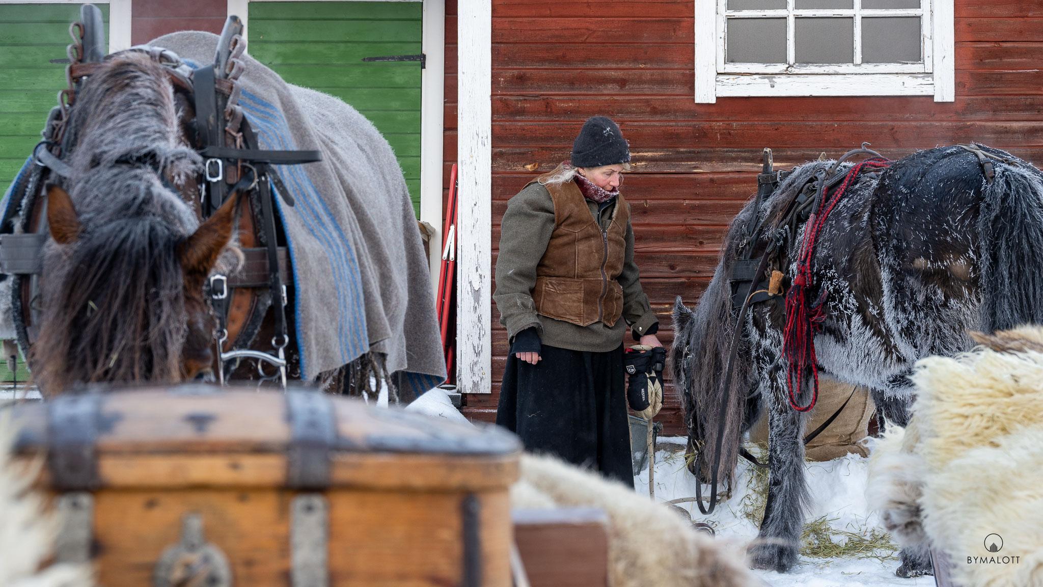 Dokumentärt - Klövsjö Forbönders resa mot Röros martnan