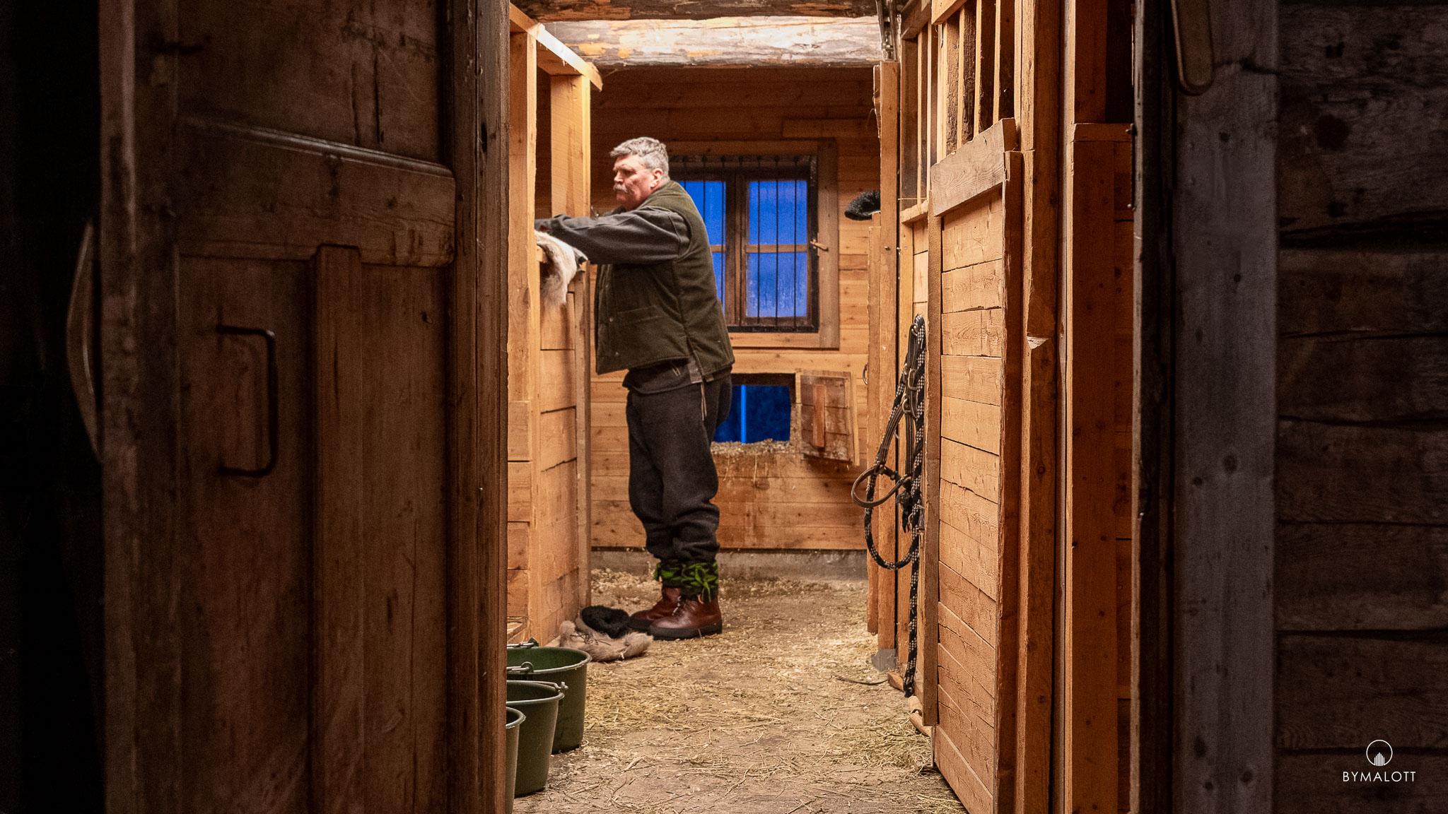 Dokumentärt - Klövsjö Forbönders resa mot Röros martnan