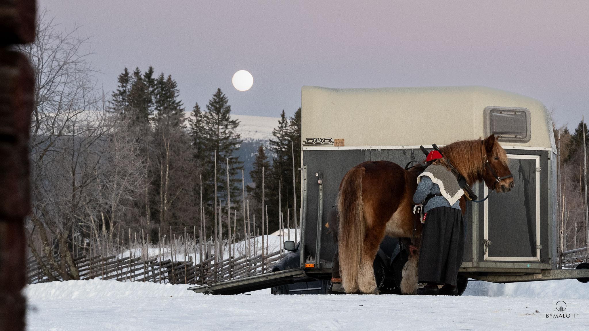 Dokumentärt - Klövsjö Forbönders resa mot Röros martnan