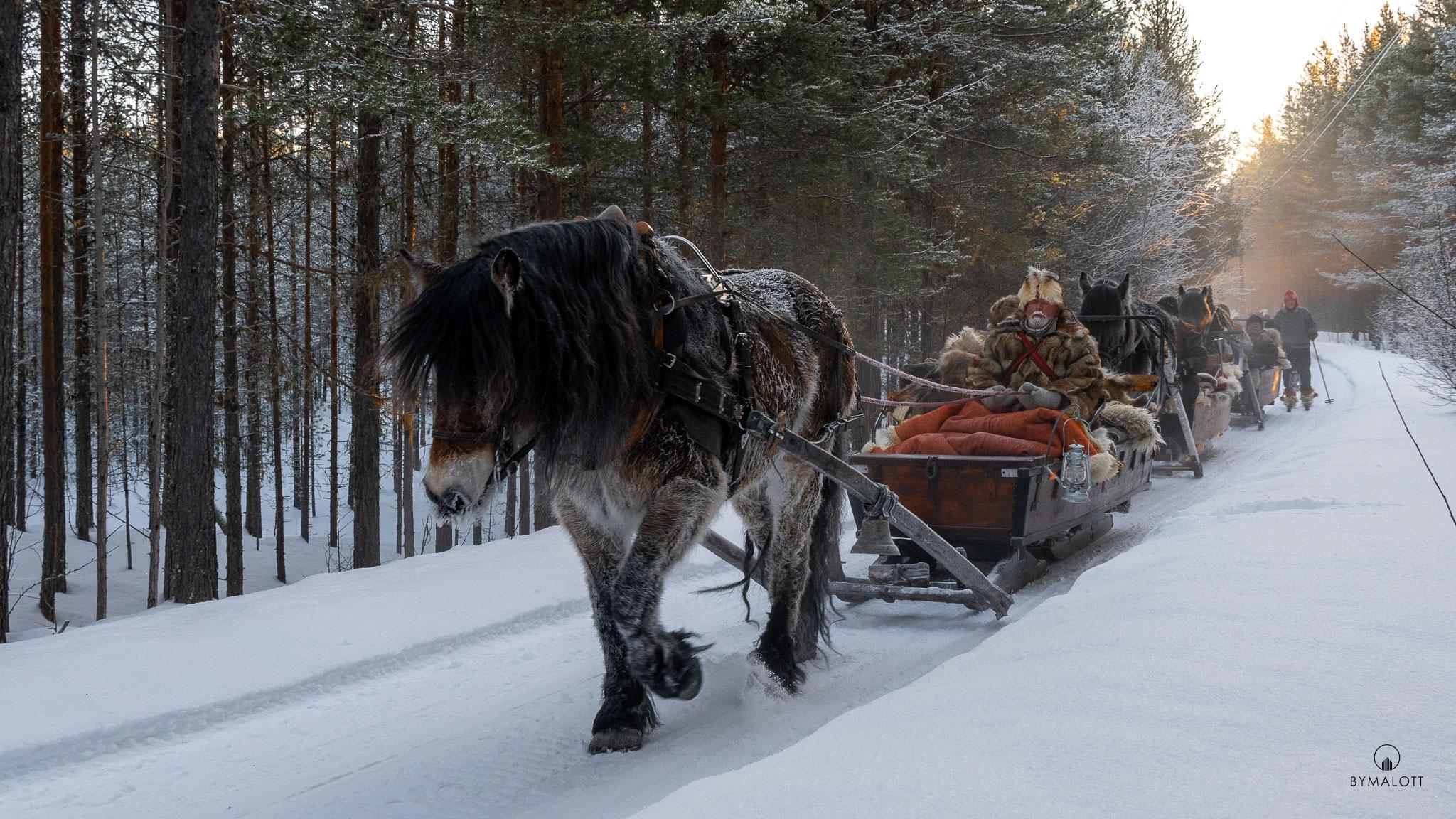 Dokumentärt - Klövsjö Forbönders resa mot Röros martnan