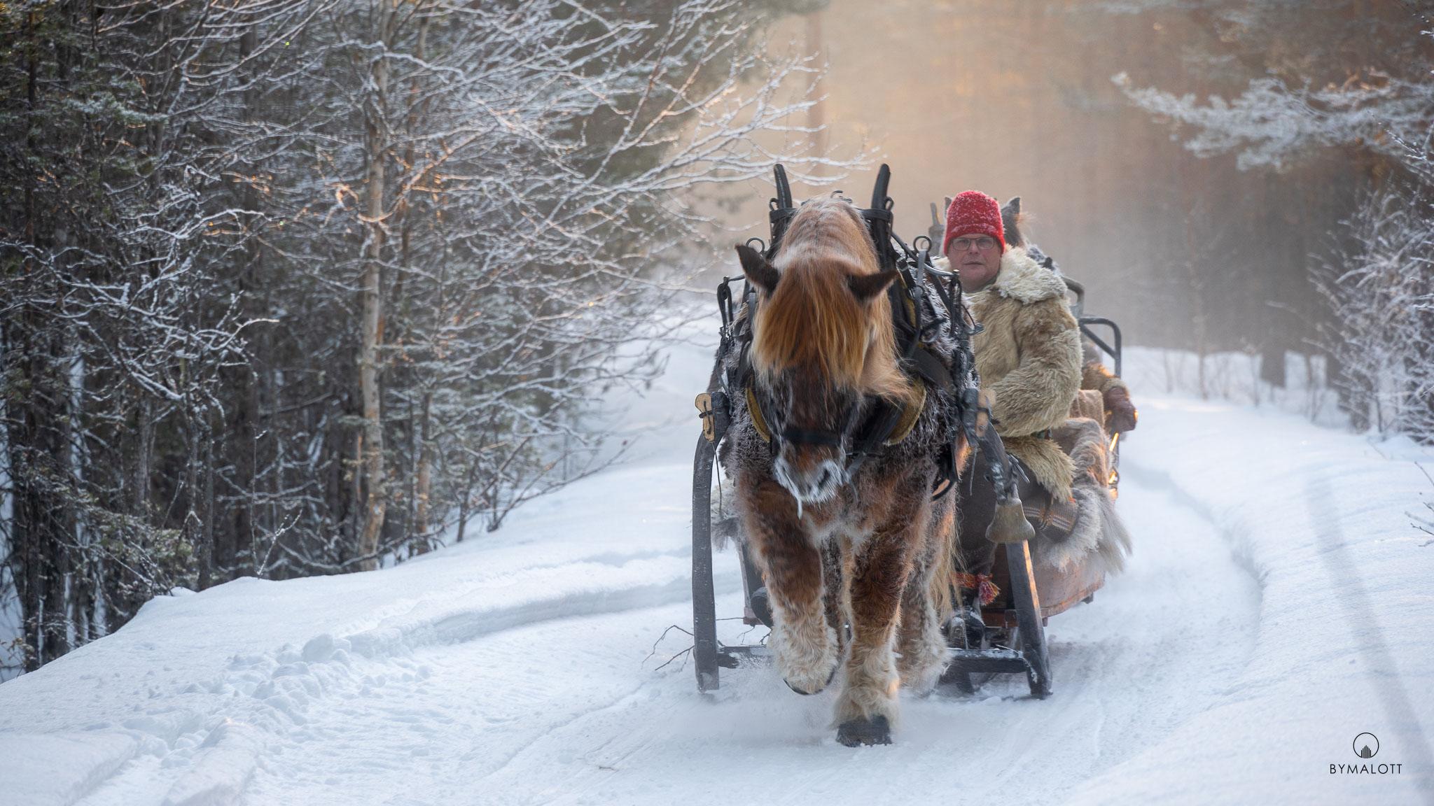 Dokumentärt - Klövsjö Forbönders resa mot Röros martnan